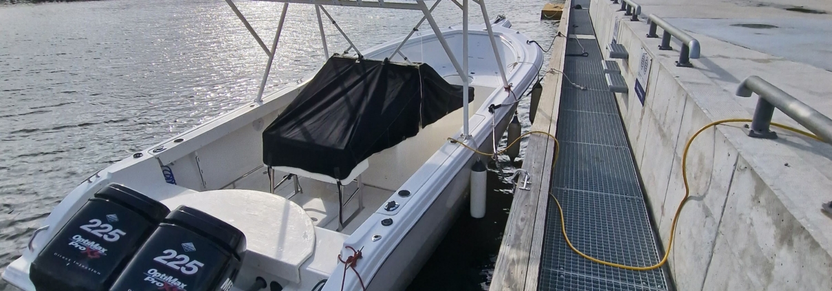 Sea Fox 287